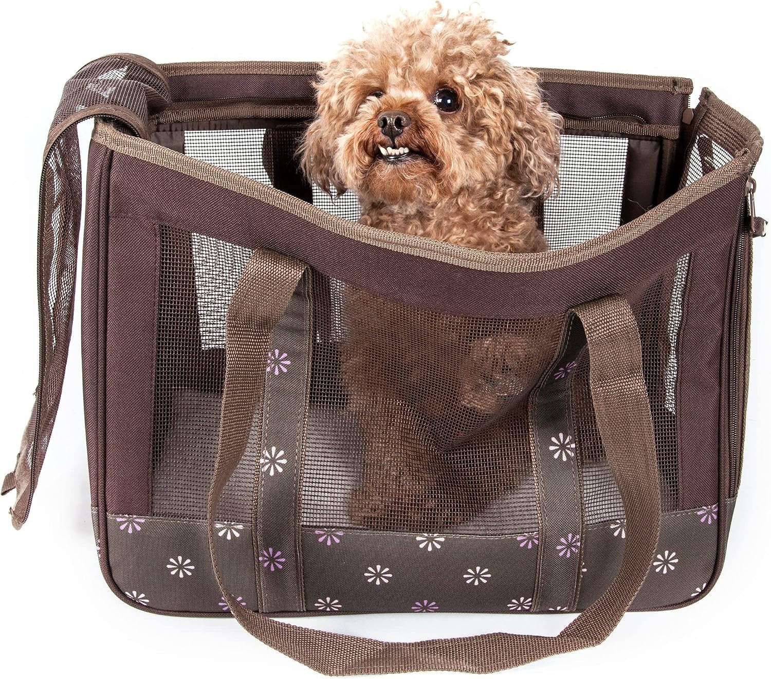 Surround-View Fashion Pet Carrier - Travel Airline Approved Dog Carrier with Dual-Mesh Sunroof
