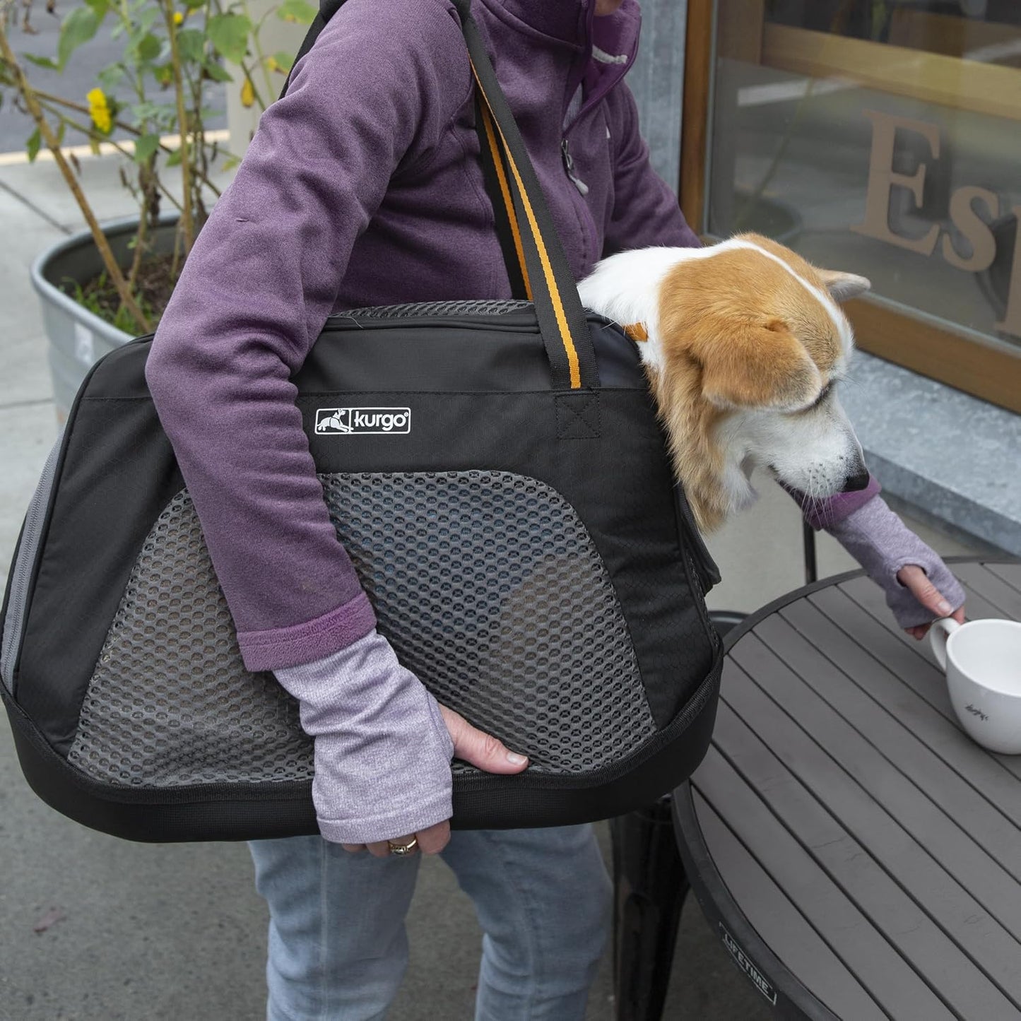 Explorer Dog Carrier Bag, Black
