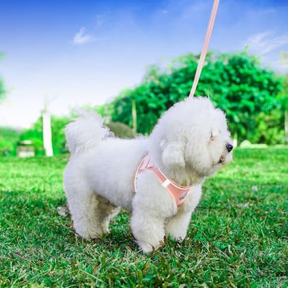 Dog Harness and Leash Set, No Pull Soft Mesh Puppy Harness for Small Medium Dogs, Cats - Step in Reflective Breathable Lightweight Vest Harness for Walking, Training - Pink, XS