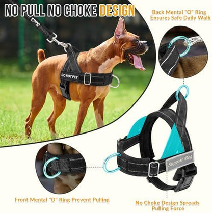 No Pull Dog Harness - Heavy Duty Dog Harness and Leash Set for Medium Large Dogs, Reflective Tactical Harness with Soft Padded and Front Clip for Easy Walk and Training (Black L)