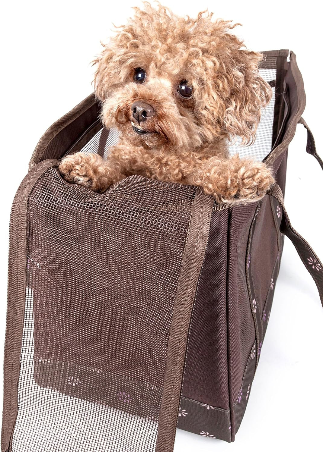 Surround-View Fashion Pet Carrier - Travel Airline Approved Dog Carrier with Dual-Mesh Sunroof